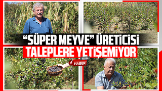 Süper meyve'nin kilosu 400 lira, talebe yetişemiyor