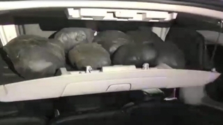 Şüpheli araç uyuşturucu deposu çıktı