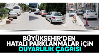 Sürücülere park uyarısı