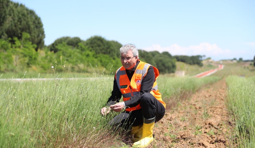 Susam ve Çörek Otu ekti