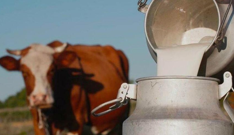 Süt fiyatı çiftlikte üreticiyi markette vatandaş vurdu