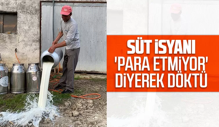 Süt isyanı 'Para etmiyor' diyerek döktü