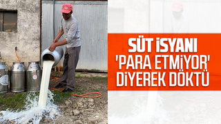 Süt isyanı 'Para etmiyor' diyerek döktü