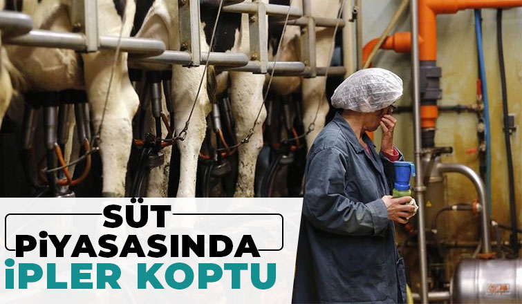 Süt piyasasında kriz