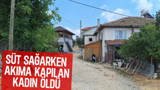 Süt sağarken akıma kapılıp öldü