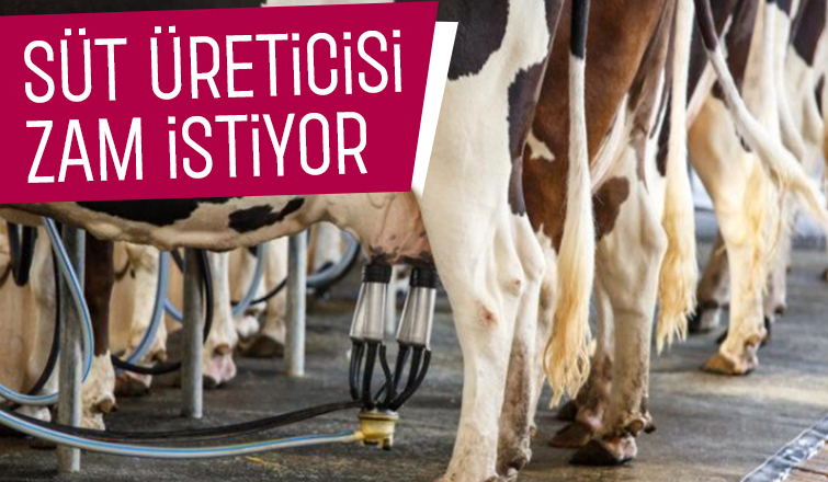 Süt üreticinin istediği fiyat belli oldu
