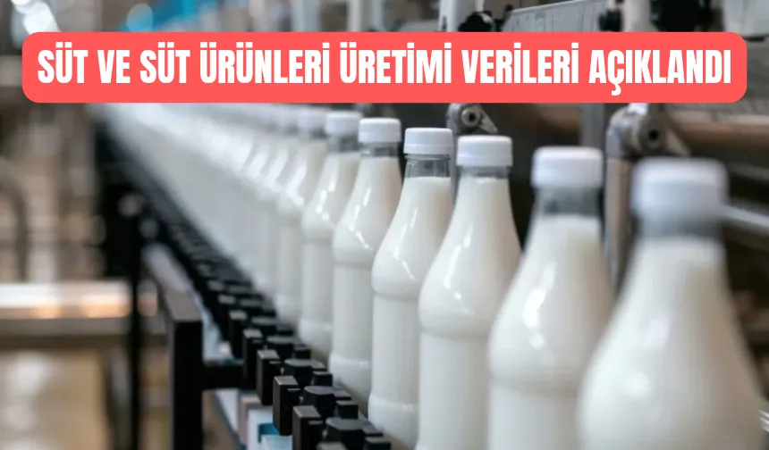 Süt üretimi geriledi