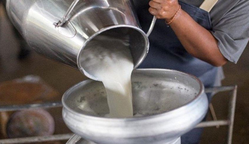 Süt ve peynir üretiminde düşüş