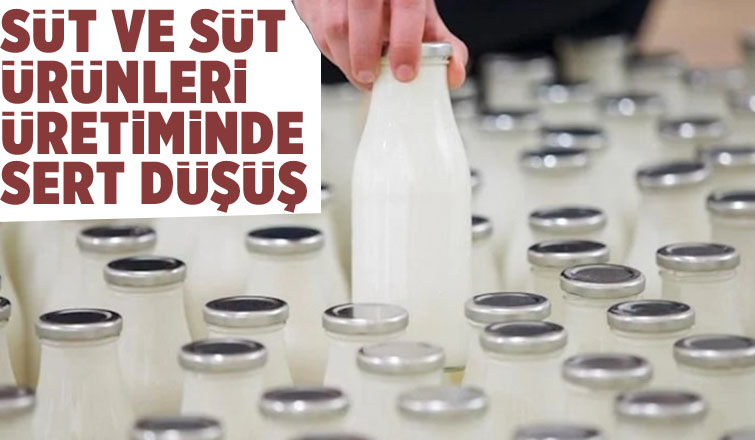 Süt ve süt ürünleri ile tavuk, yumurta üretiminde son durum