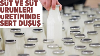 Süt ve süt ürünleri ile tavuk, yumurta üretiminde son durum