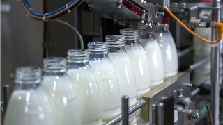 Süt ve süt ürünleri üretiminde düşüş