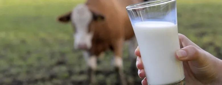 Sütte maliyet 24 lira, fiyat 16 lira