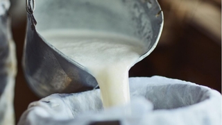 Sütte yeni dönem başlıyor