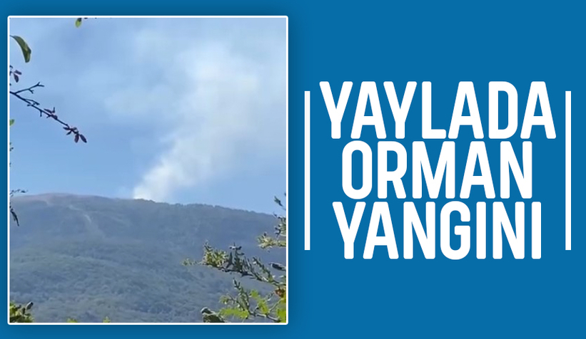 Susuz Yaylası'nda orman yangını çıktı