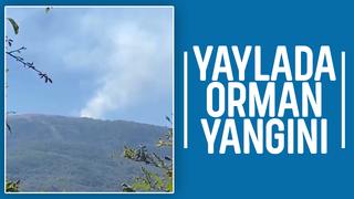Susuz Yaylası'nda orman yangını çıktı