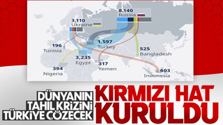Tahıl krizinin çözümü için 'kırmızı hat' kuruldu