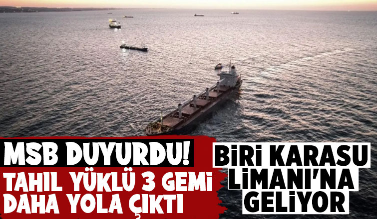 Tahıl yüklü 3 gemi daha yola çıktı; Biri Karasu'ya gelecek