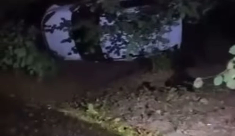 Takla atıp fındıklığa uçtu