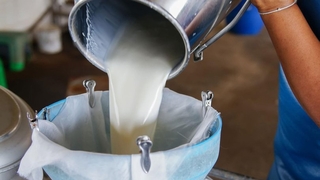 Tam kapanma süt üreticilerini de vurdu