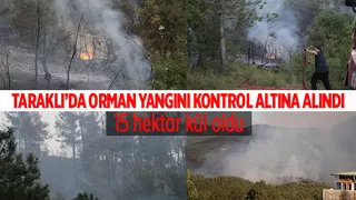 Taraklı'da 15 hektarlık orman yandı