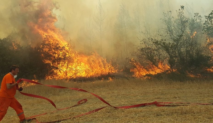Taraklı'da bir orman yangını daha çıktı