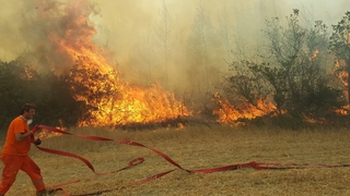Taraklı'da bir orman yangını daha çıktı