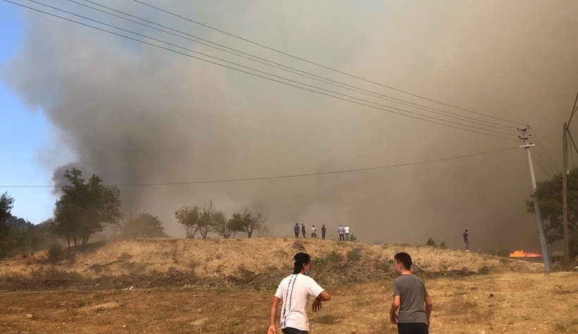Taraklı'da büyük orman yangını