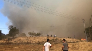 Taraklı'da büyük orman yangını