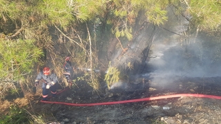 Taraklı'da orman yangını