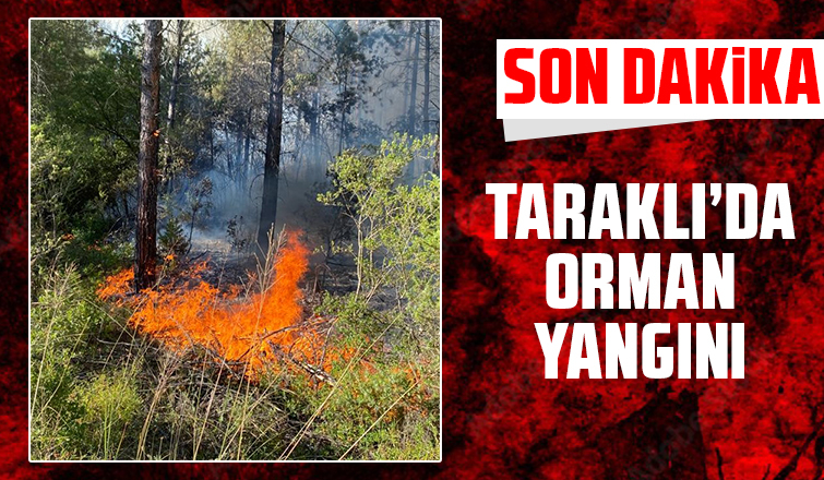 Taraklı'da orman yangını