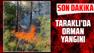 Taraklı'da orman yangını