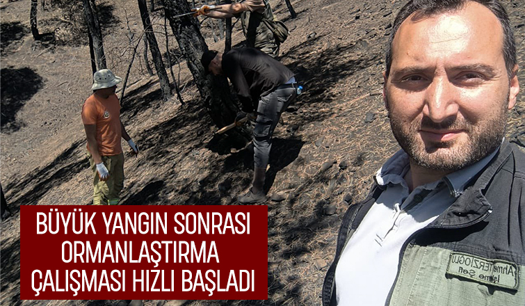 Taraklı'da yangın sonrası ağaçlandırma seferberliği başladı