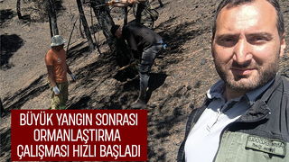 Taraklı'da yangın sonrası ağaçlandırma seferberliği başladı