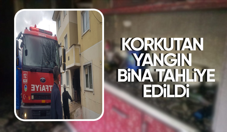 Taraklı'da yangın