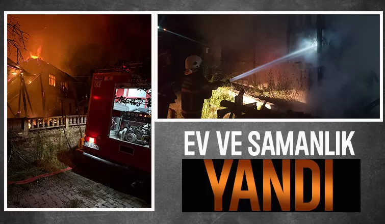 Taraklı da yangın