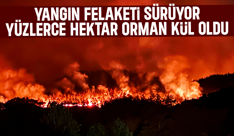 Taraklı'da yüzlerce hektar orman yandı