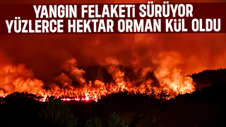 Taraklı'da yüzlerce hektar orman yandı