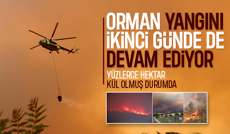 Taraklı'daki büyük orman yangını ikinci günde sürüyor