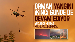 Taraklı'daki büyük orman yangını ikinci günde sürüyor