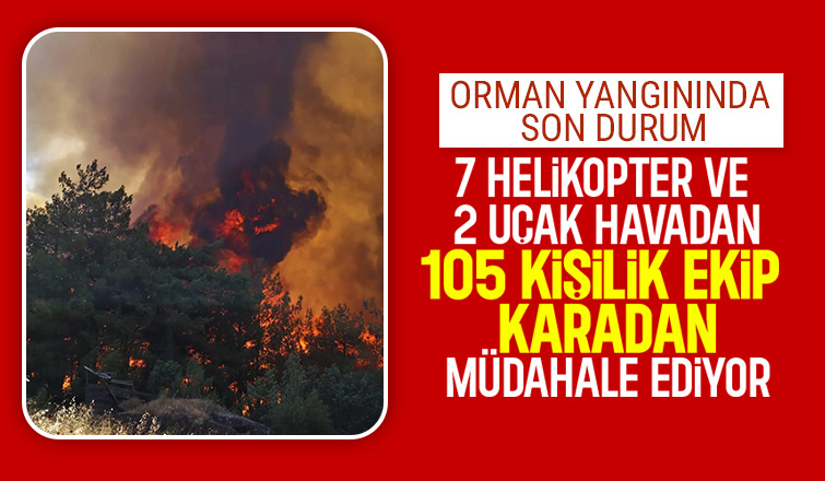 Taraklı'daki orman yangınında son durum