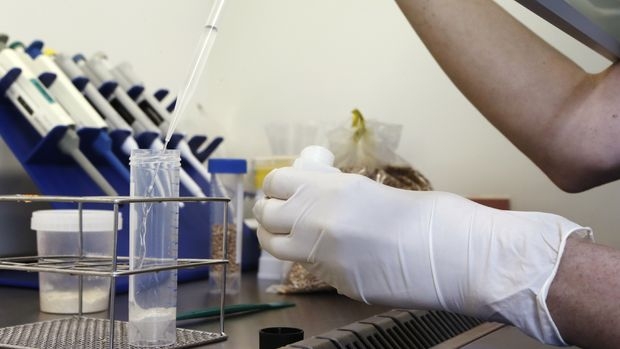 Tarım Bakanlığı GDO'lu 2 gen ve 1 enzime izin verdi