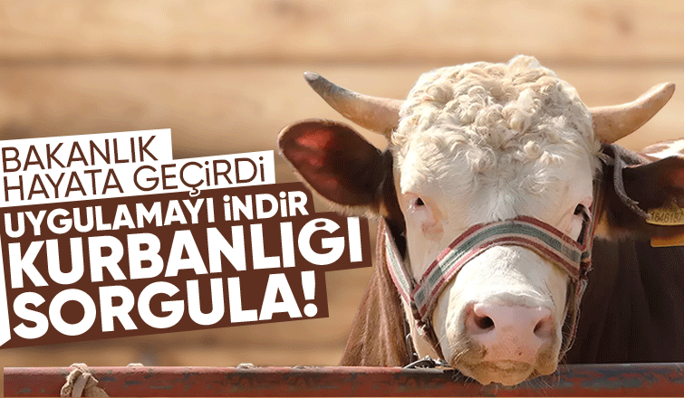 Tarım Cebimde uygulaması ile kurbanlık sorgulaması