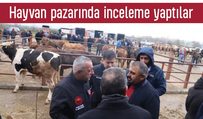 Tarım Müdürü'nden hayvan pazarında inceleme