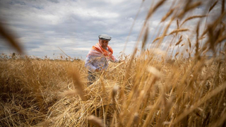 Tarım-ÜFE yıllık yüzde 50,79 arttı