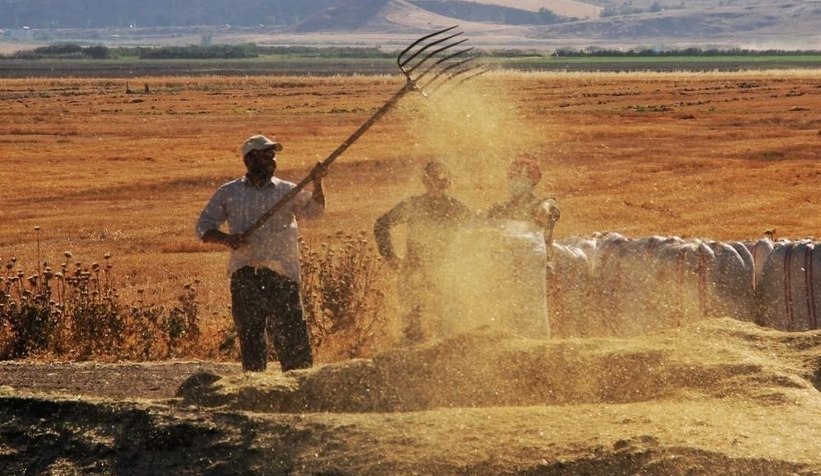 Tarım-ÜFE yıllık yüzde 58,29 arttı