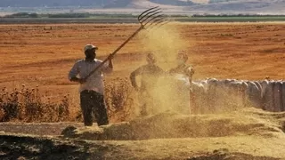 Tarım-ÜFE yıllık yüzde 58,29 arttı