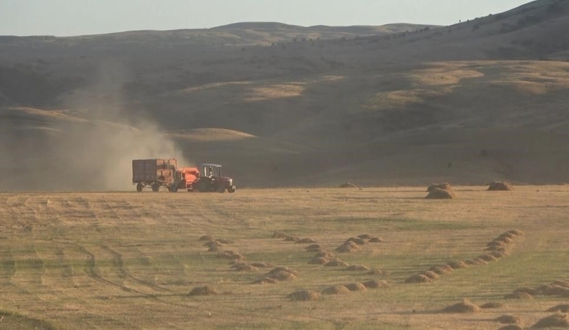 Tarım-ÜFE yıllık yüzde 62,48, aylık yüzde 8,03 arttı