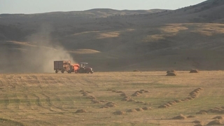 Tarım-ÜFE yıllık yüzde 62,48, aylık yüzde 8,03 arttı