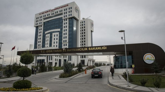 Tarım ve Orman Bakanlığı 7 bin 158 personel alacak