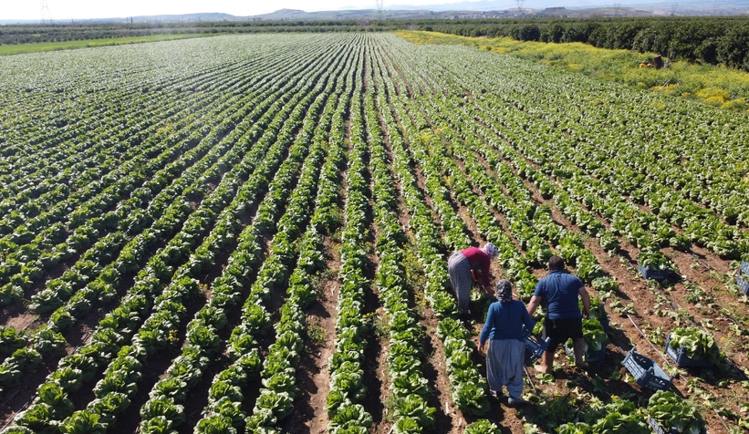 Tarımda üretici enflasyonu geriledi